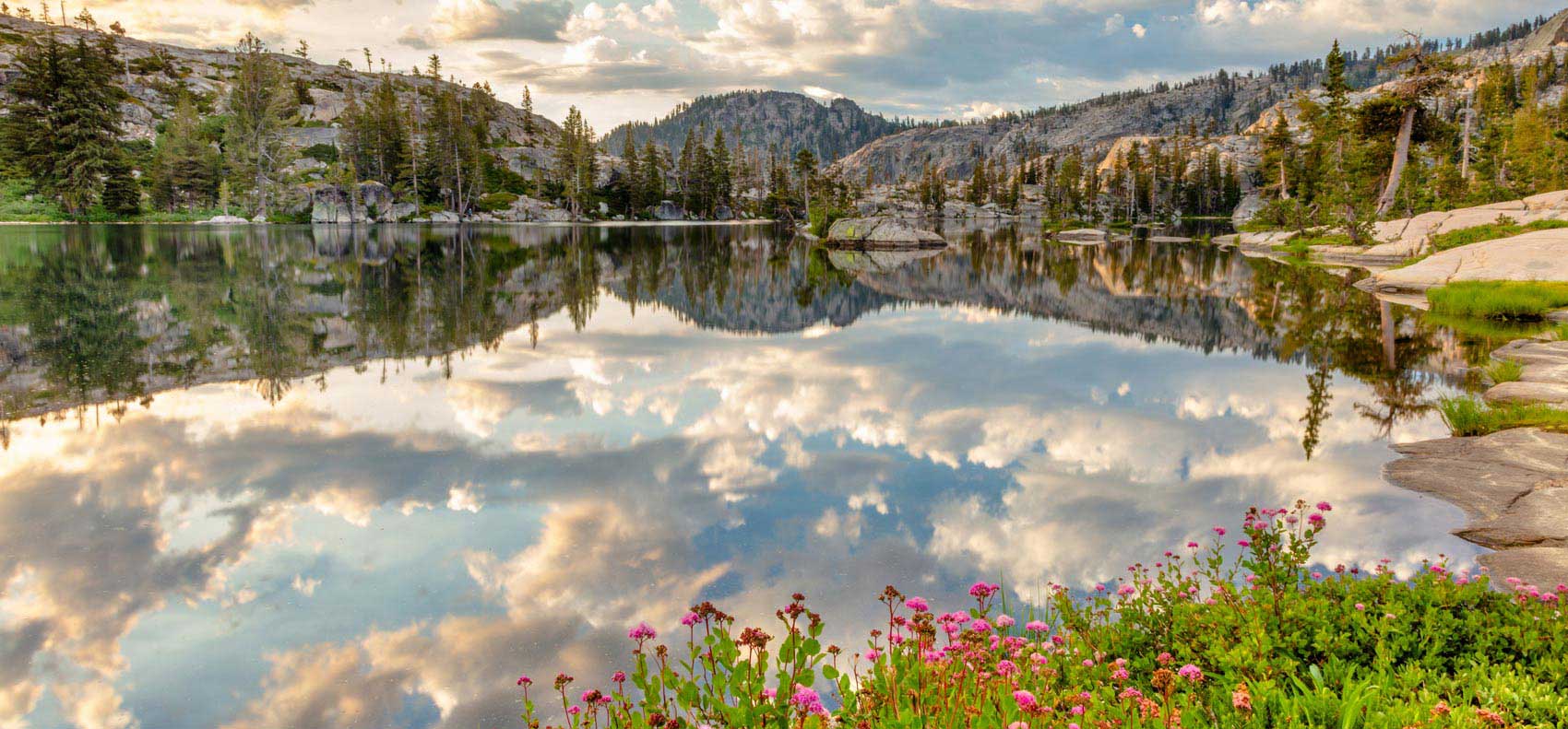 Gorgeous pink wildflowers at Paradise Lake with cloudy blue sky reflection 