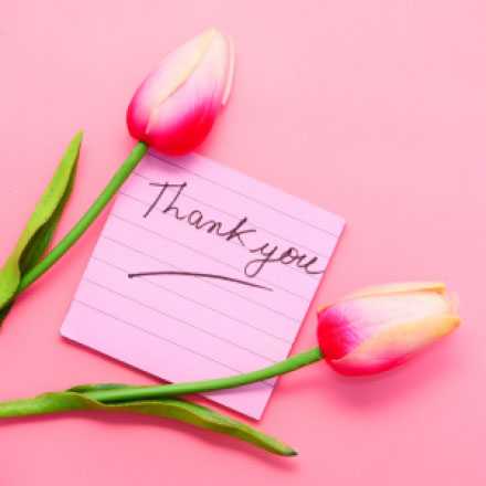 Pink thank you note and pink tulips 