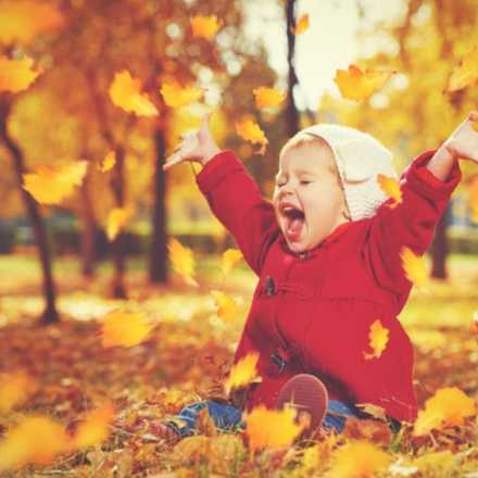 child playing in a pile of autumn colored leaves