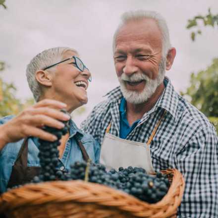 old couple with grapes in a basket