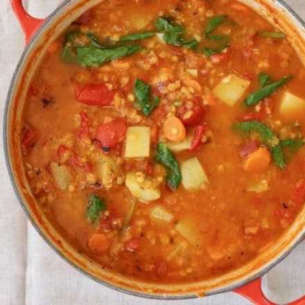 Veggie and Red Lentil Stew
