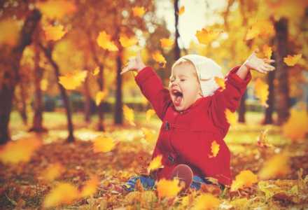 child playing in a pile of autumn colored leaves