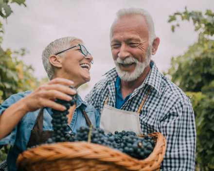 old couple with grapes in a basket