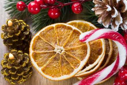 Holiday photo with oranges, pine cones and candy canes