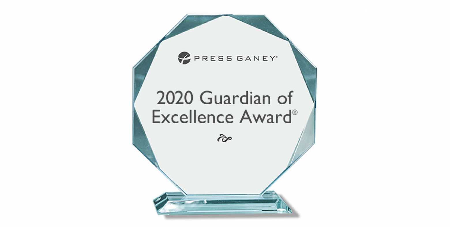 202 Guardian of Excellence Award