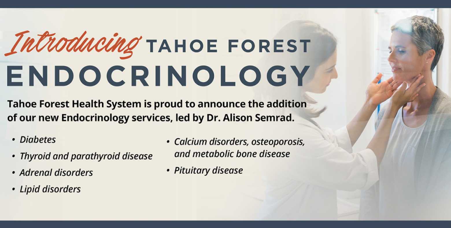 Endocrinology Service Banner