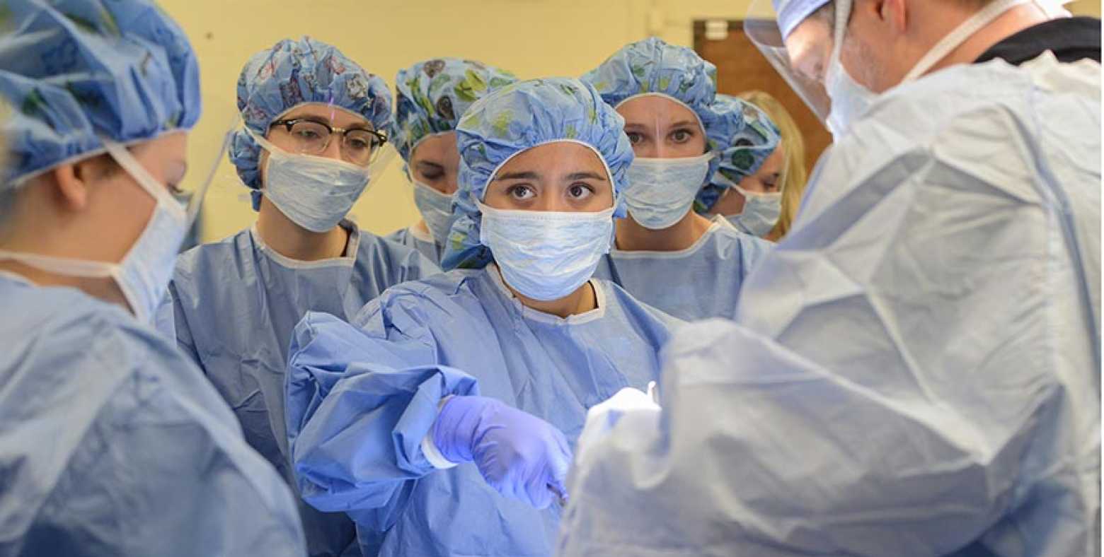 HIgh school students experience surgery with Dr. Ringnes