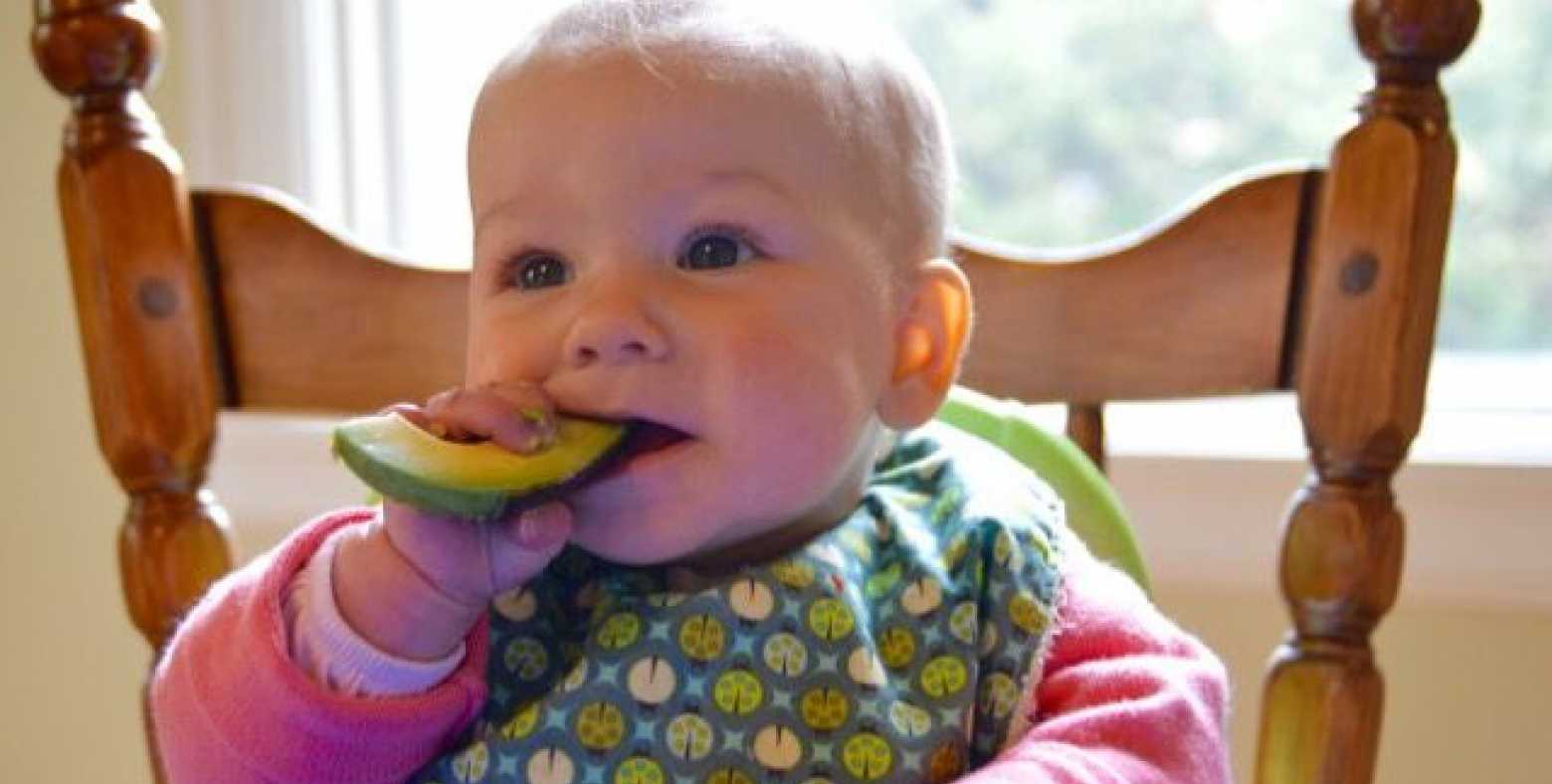 baby on high chair eating slice of avocado
