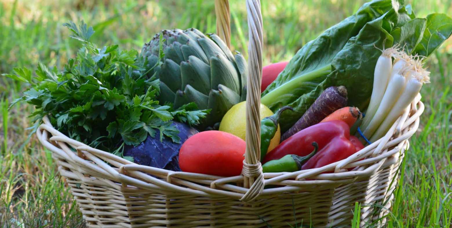 basket of colorful vegetables