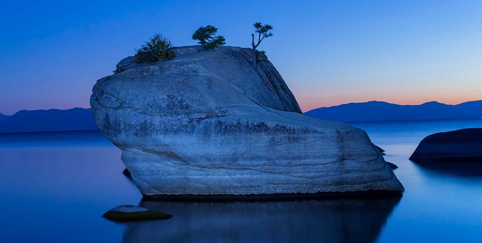 Lake Tahoe bonsai rock