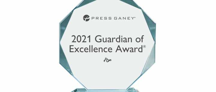 Guardian of Excellence Award Plaque
