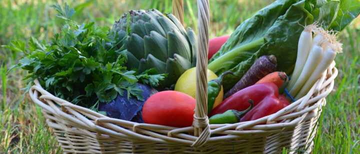 basket of colorful vegetables