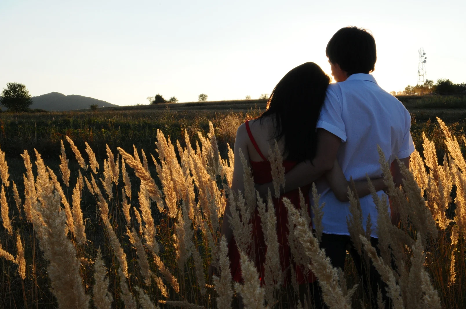 Young couple hugging in meadow