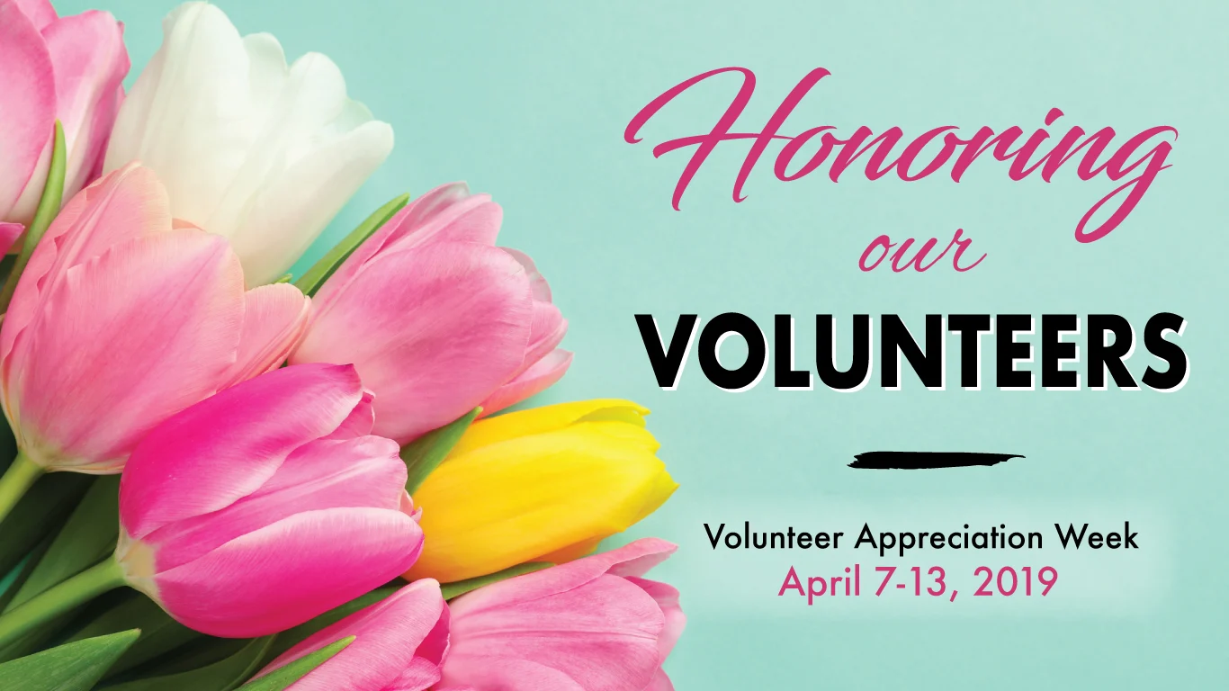 TFHS-2019-Volunteer-Thank-You.website honoring our volunteers