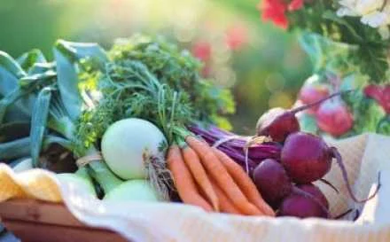 carrots beets radish