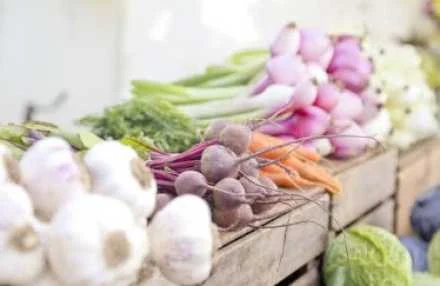 food farm fresh food