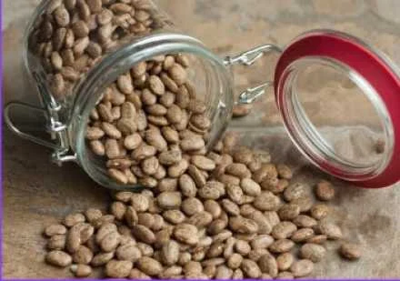 pinto uncooked pinto beans spilling from toppled jar