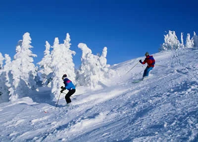 downhill skiers