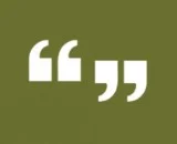 quotation marks