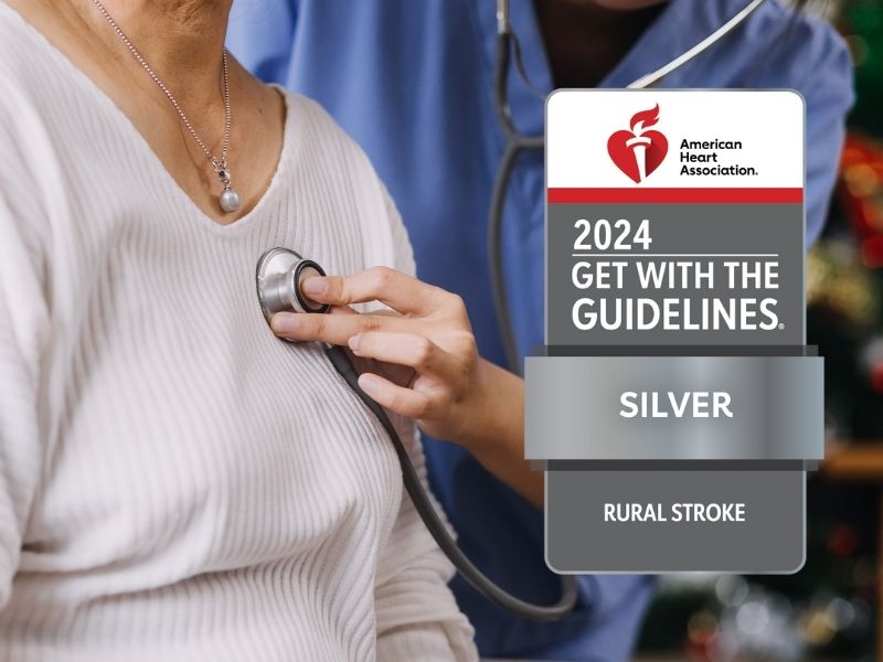 GWTG- Stroke Award Stroke Award seal