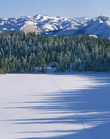 USA, California, Yosemite National Park, snow-covered cabin and trees winter snow landscape