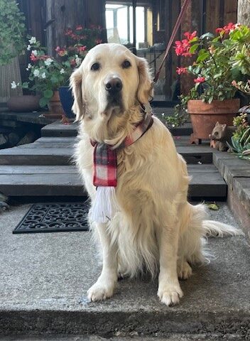 Photo of Marlee