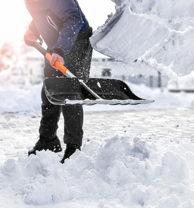 shovelsnow shoveling snow