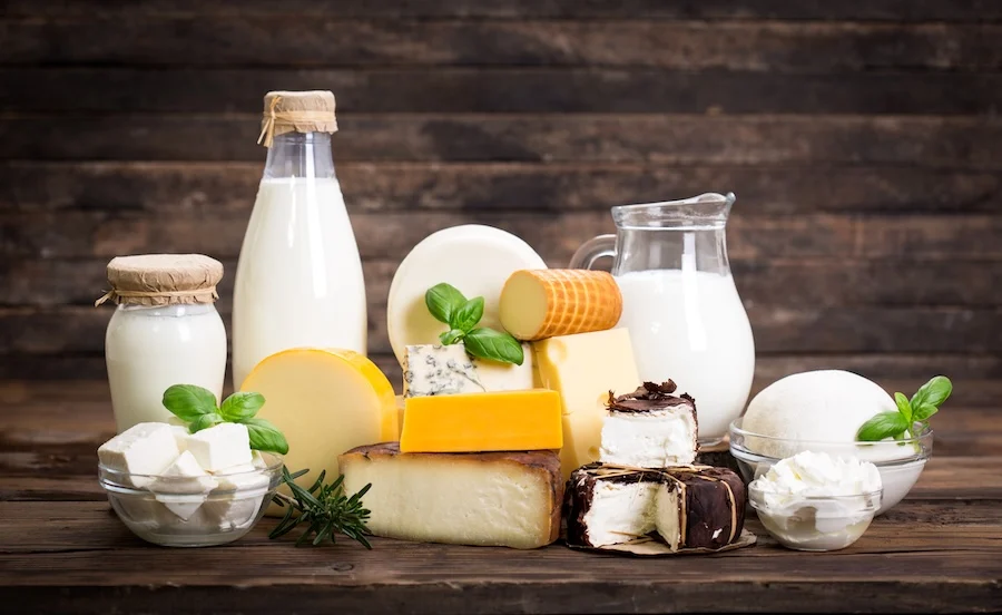 Variety of dairy
