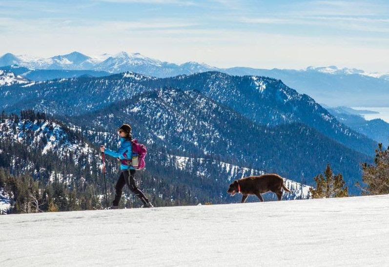nordic woman nordic skiing with dog