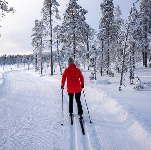 nordic skiing