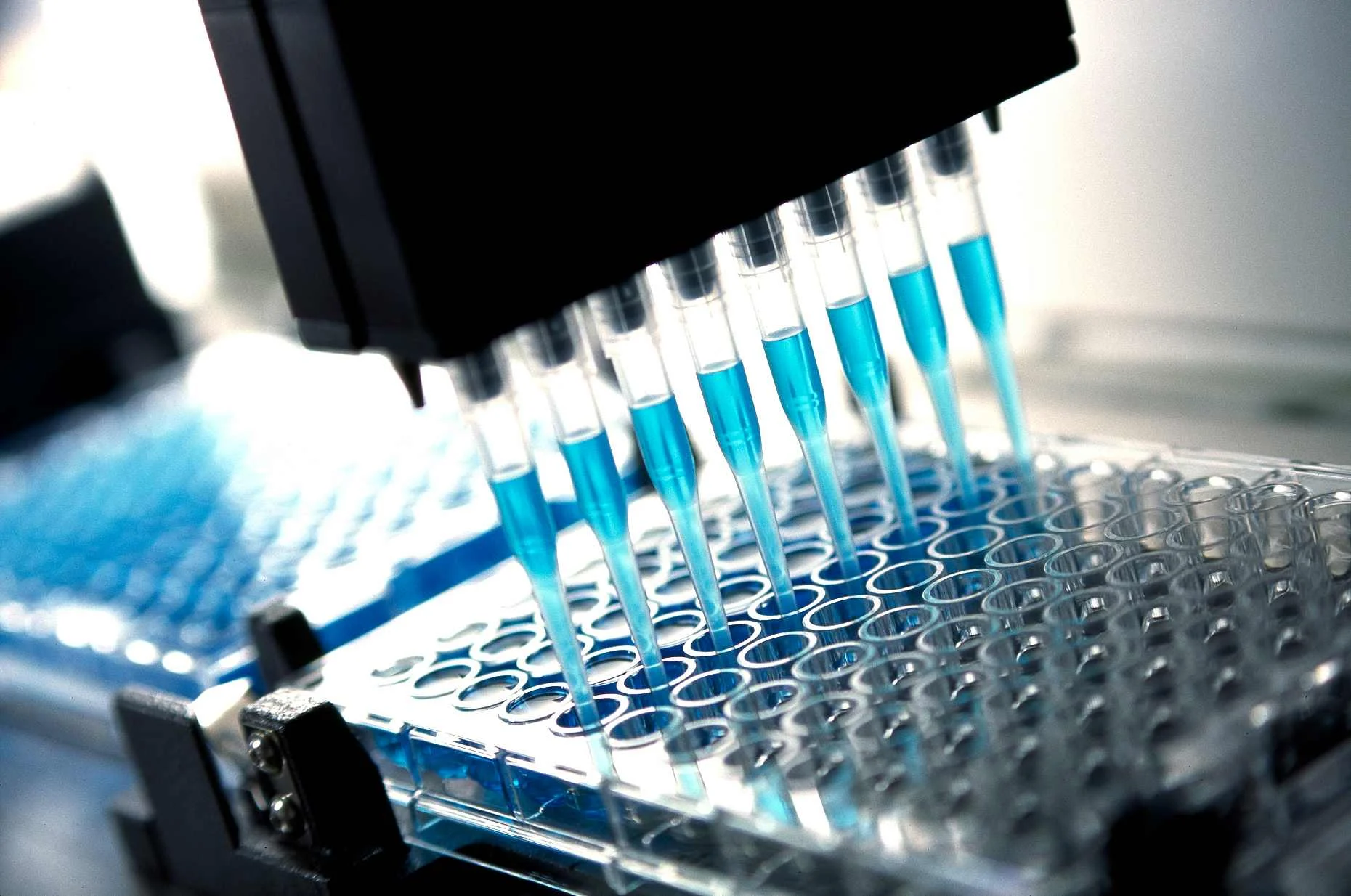 row of pipettes filled with a blue liquid