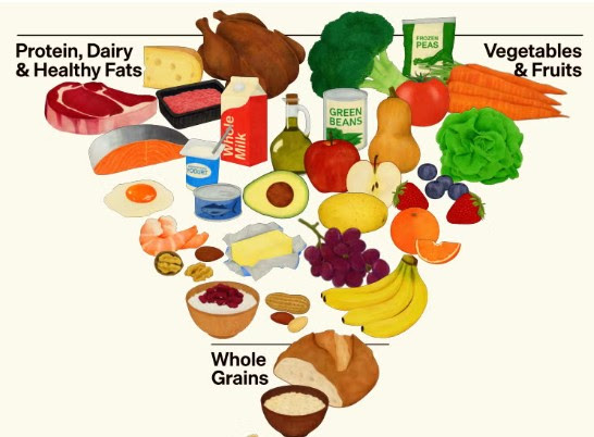 newfoodpyramid new food pyramid