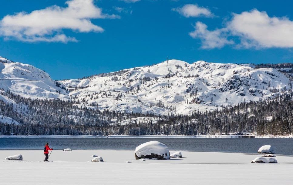 winter winter mountain landscape