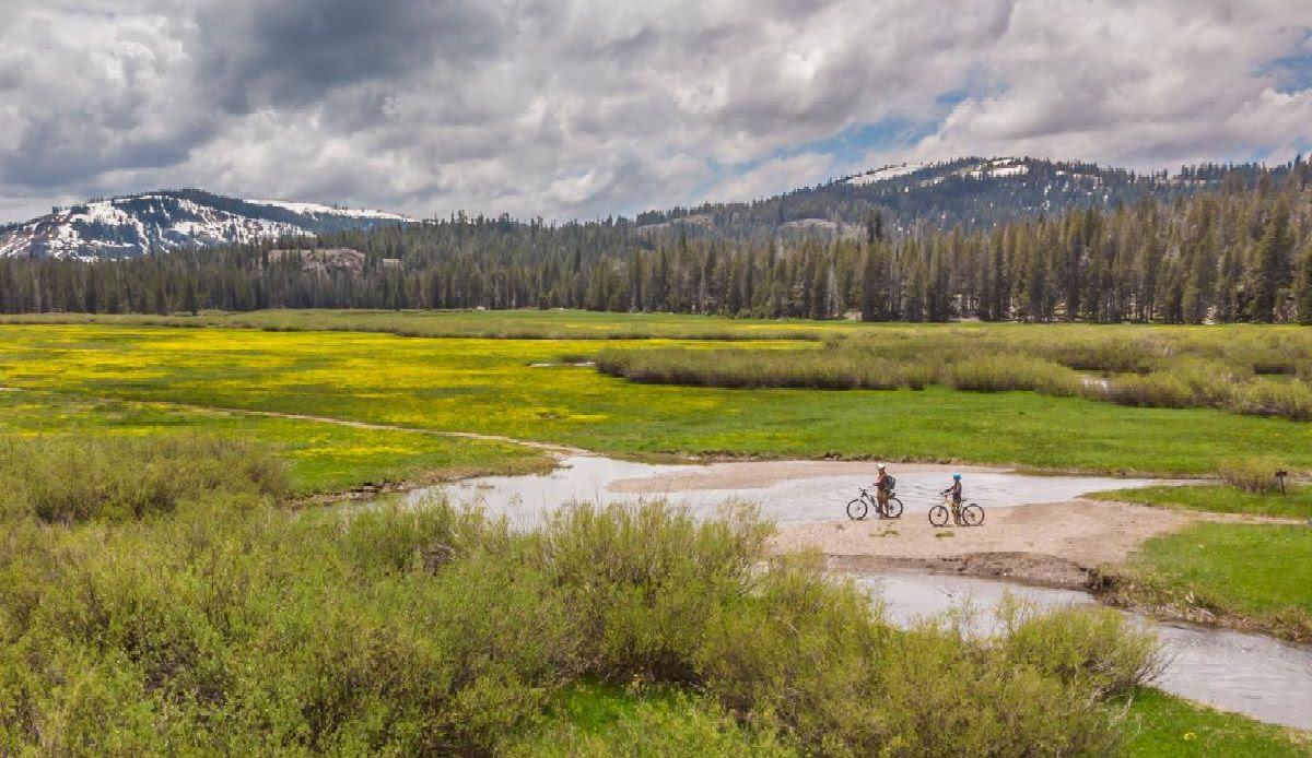 two mountain bike riders stand among a melted out meadow