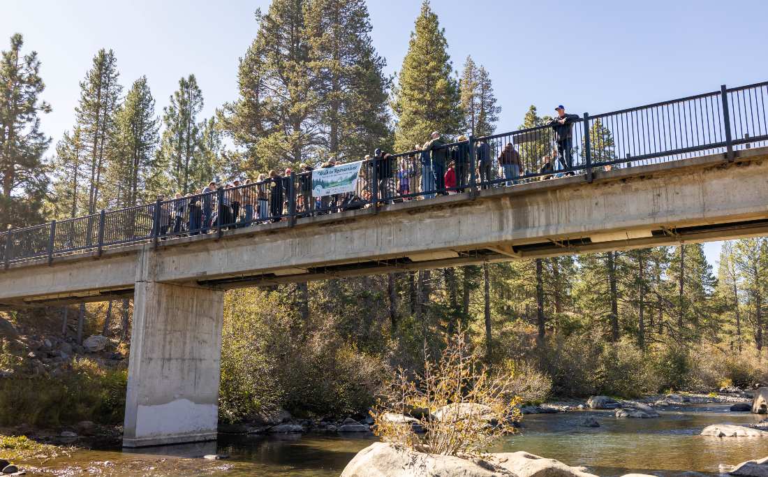 Crowd of walkers crossing a footbridge over the river