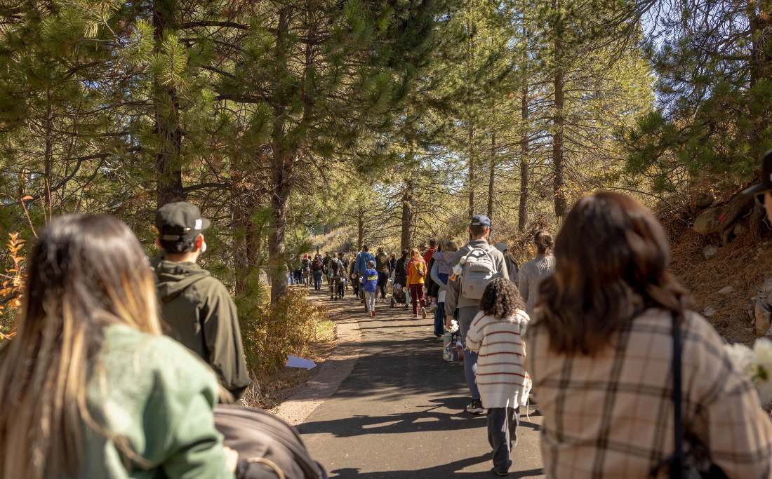 Group of participants walking along a forest trail, from behind