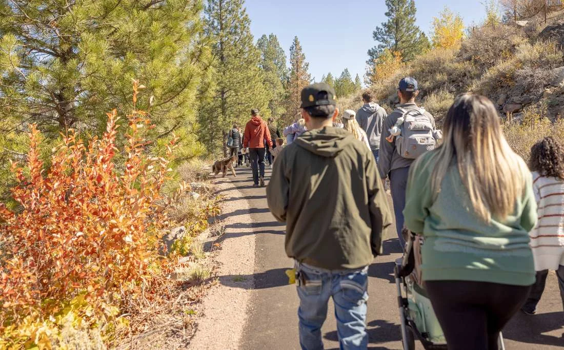 Group of walkers on a wooded trail in fall colors, seen from behind