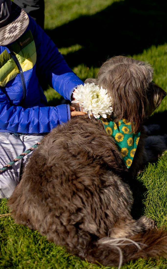 Participant holding a white flower over a large shaggy dog