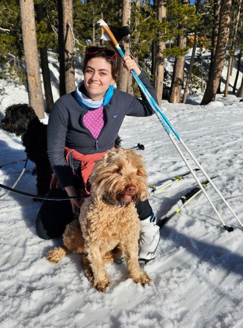 Megan Dalicandro and dogs