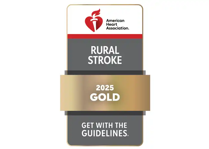 2025 Get with the Guidelines Rural Stroke Award designation seal